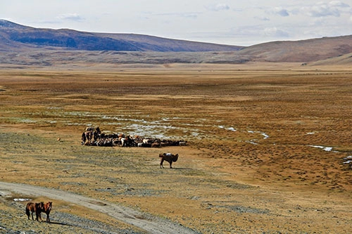 Doğu Anadolu Turları